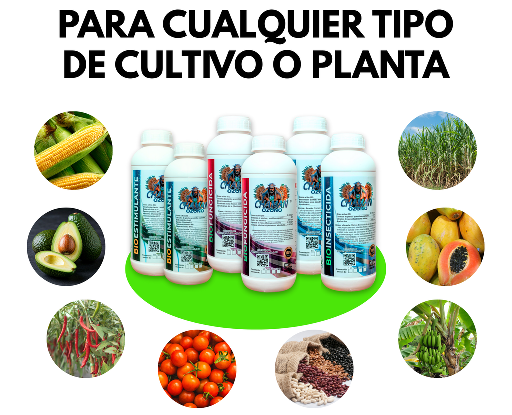 Pack Dominio Total: 6 Litros Que Aumentan Tu Producción en un 40%