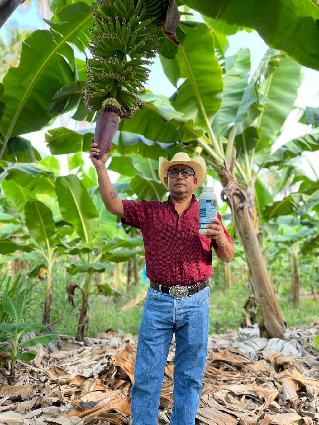 Pack Dominio Total: 6 Litros Que Aumentan Tu Producción en un 40%