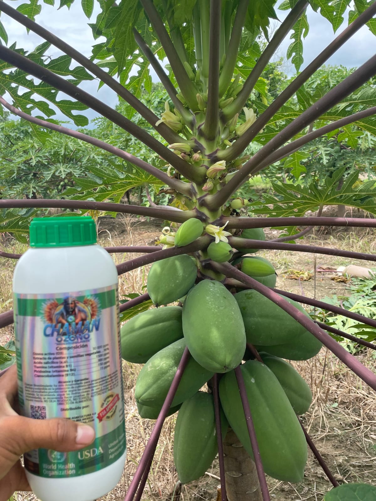 Pack Dominio Total: 6 Litros Que Aumentan Tu Producción en un 40%